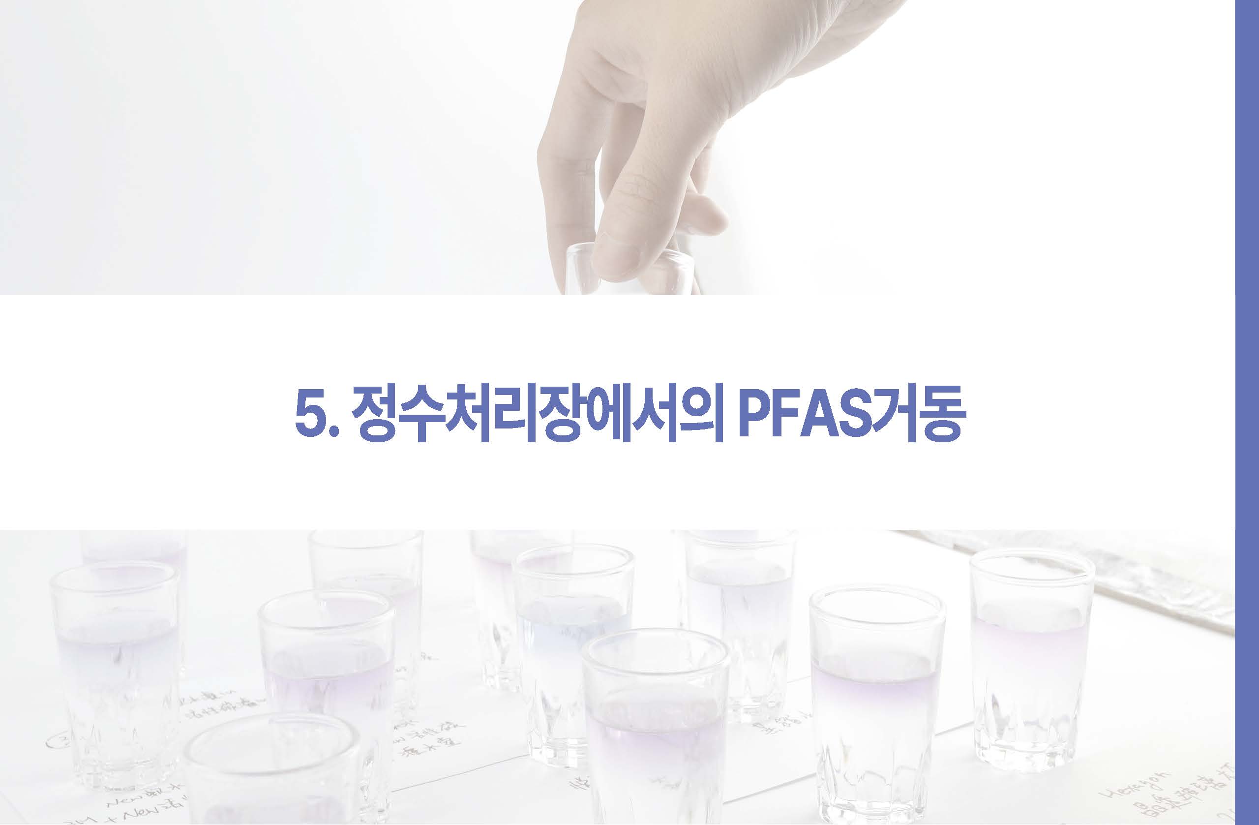 영원한 화학물질 PEAS 그 이면21