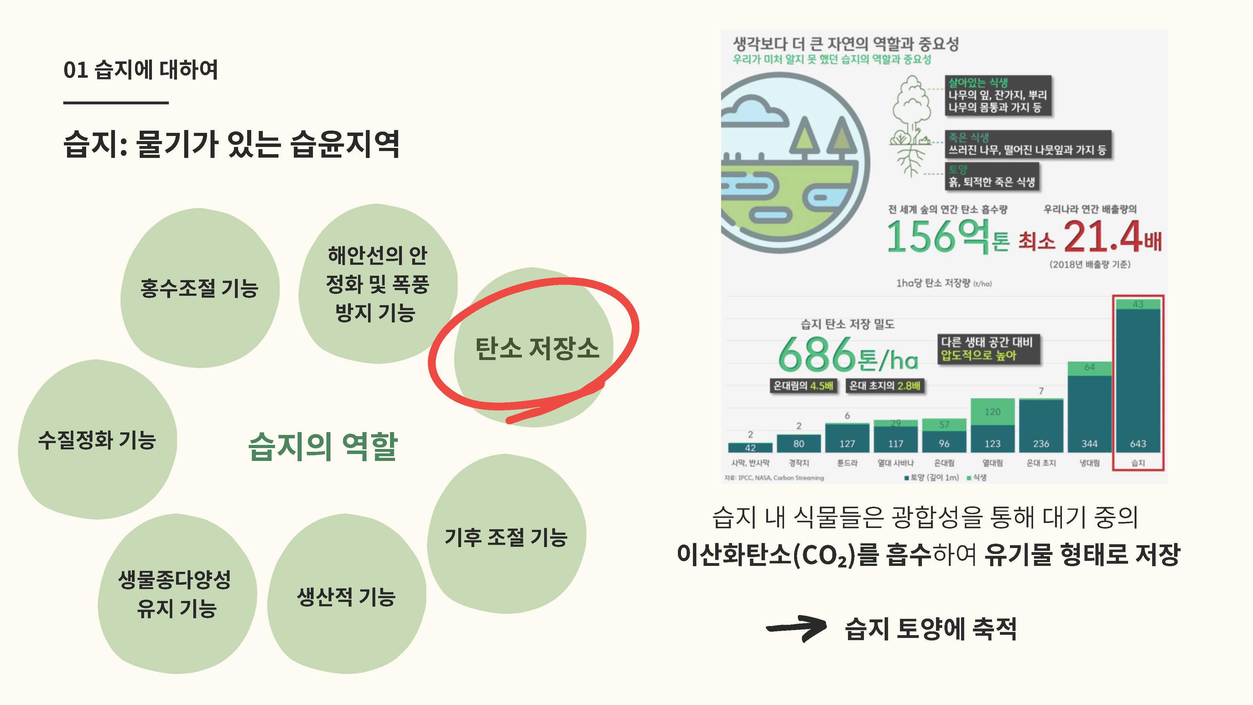 습지의 탄소 저장 기능과 기후변화 메탄 배출원의 전환 가능성04