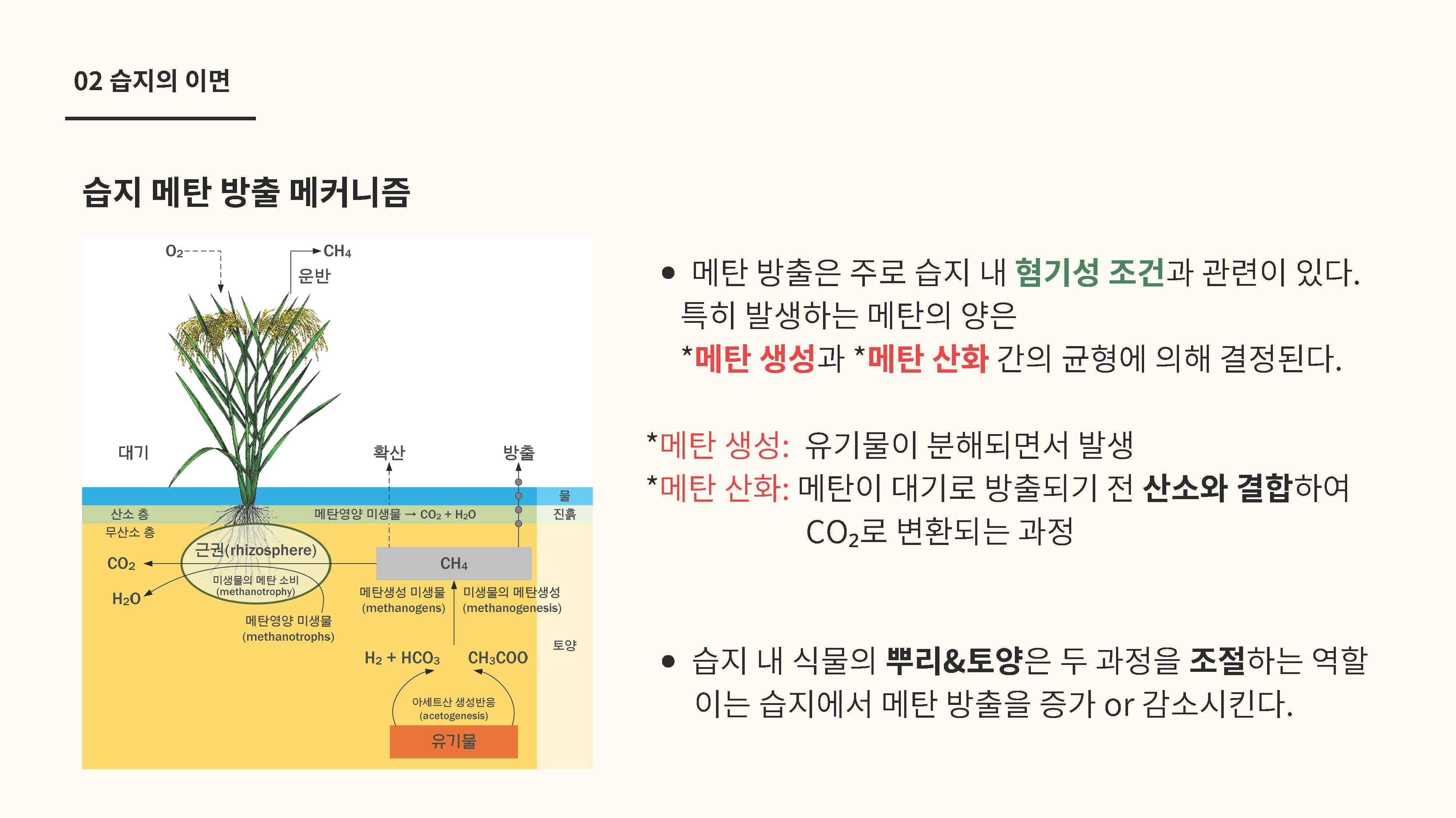 습지의 탄소 저장 기능과 기후변화 메탄 배출원의 전환 가능성06