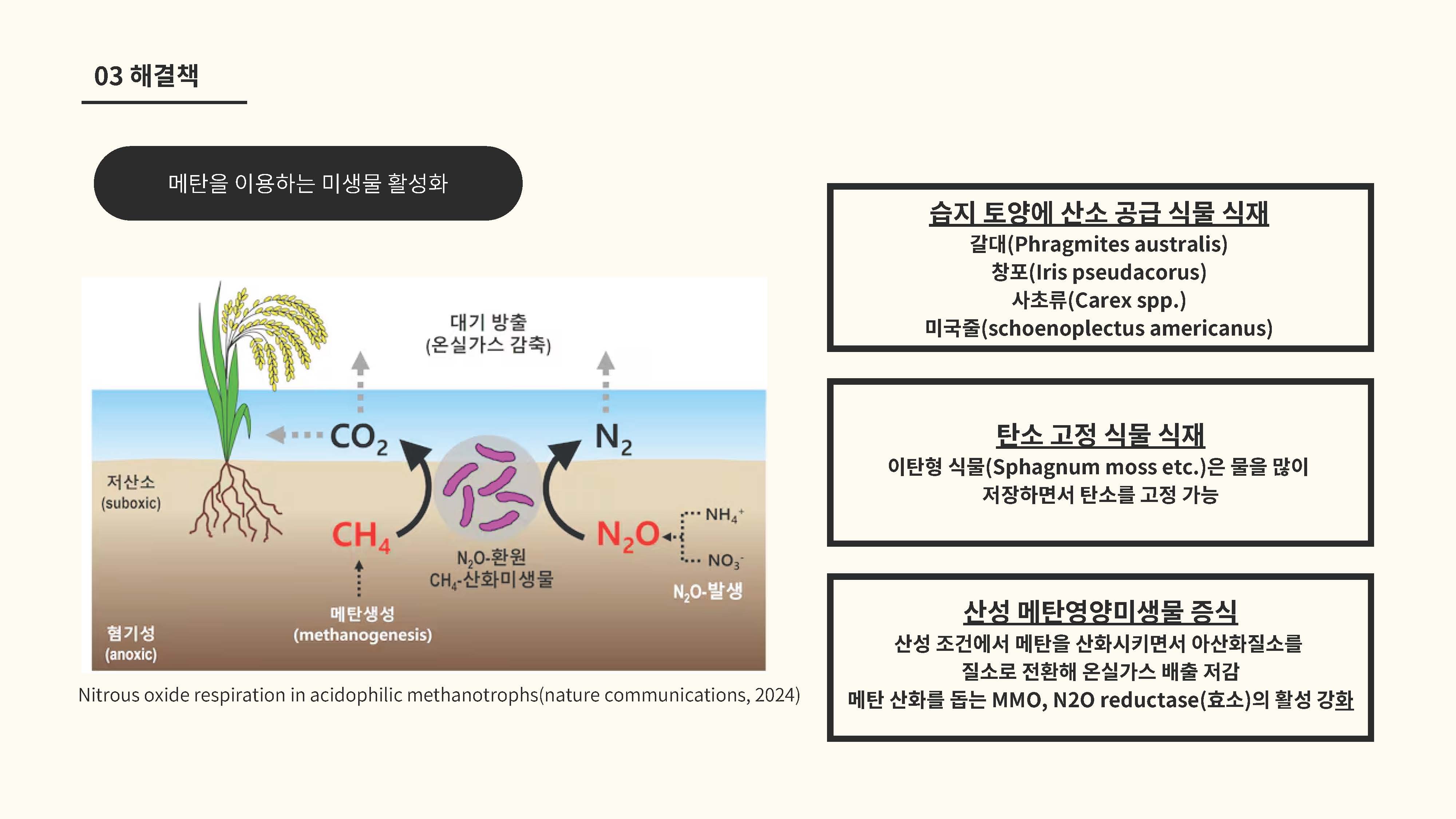 습지의 탄소 저장 기능과 기후변화 메탄 배출원의 전환 가능성12
