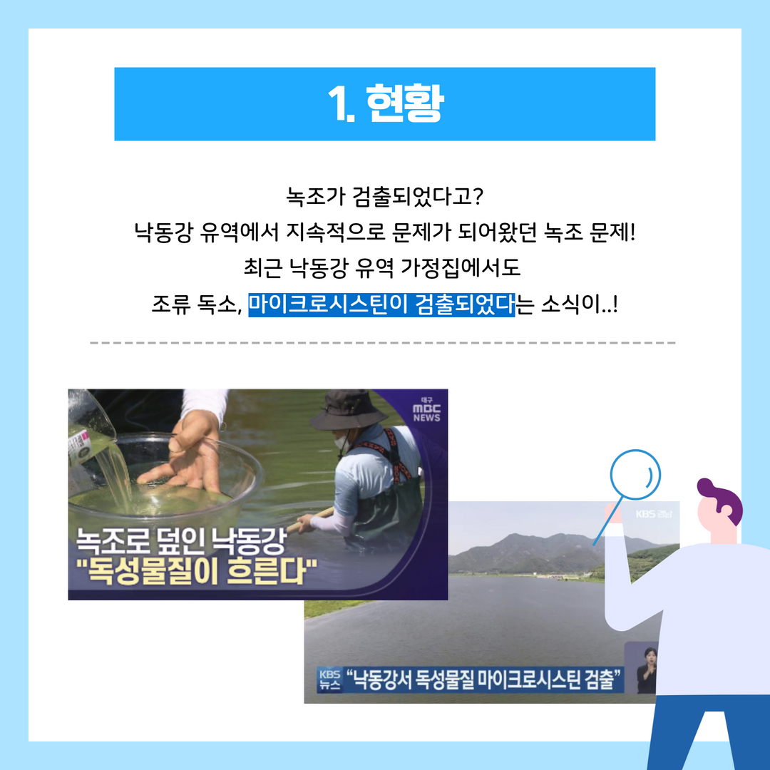 낙동강 녹조, 마이크로시스틴 검출에 대한 팩트체크 2