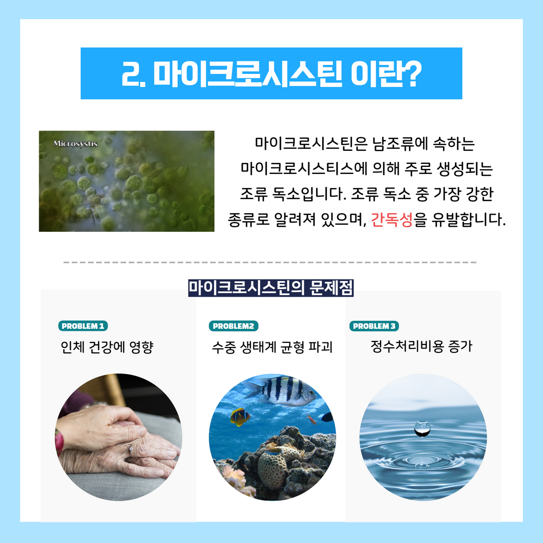 낙동강 녹조, 마이크로시스틴 검출에 대한 팩트체크 3