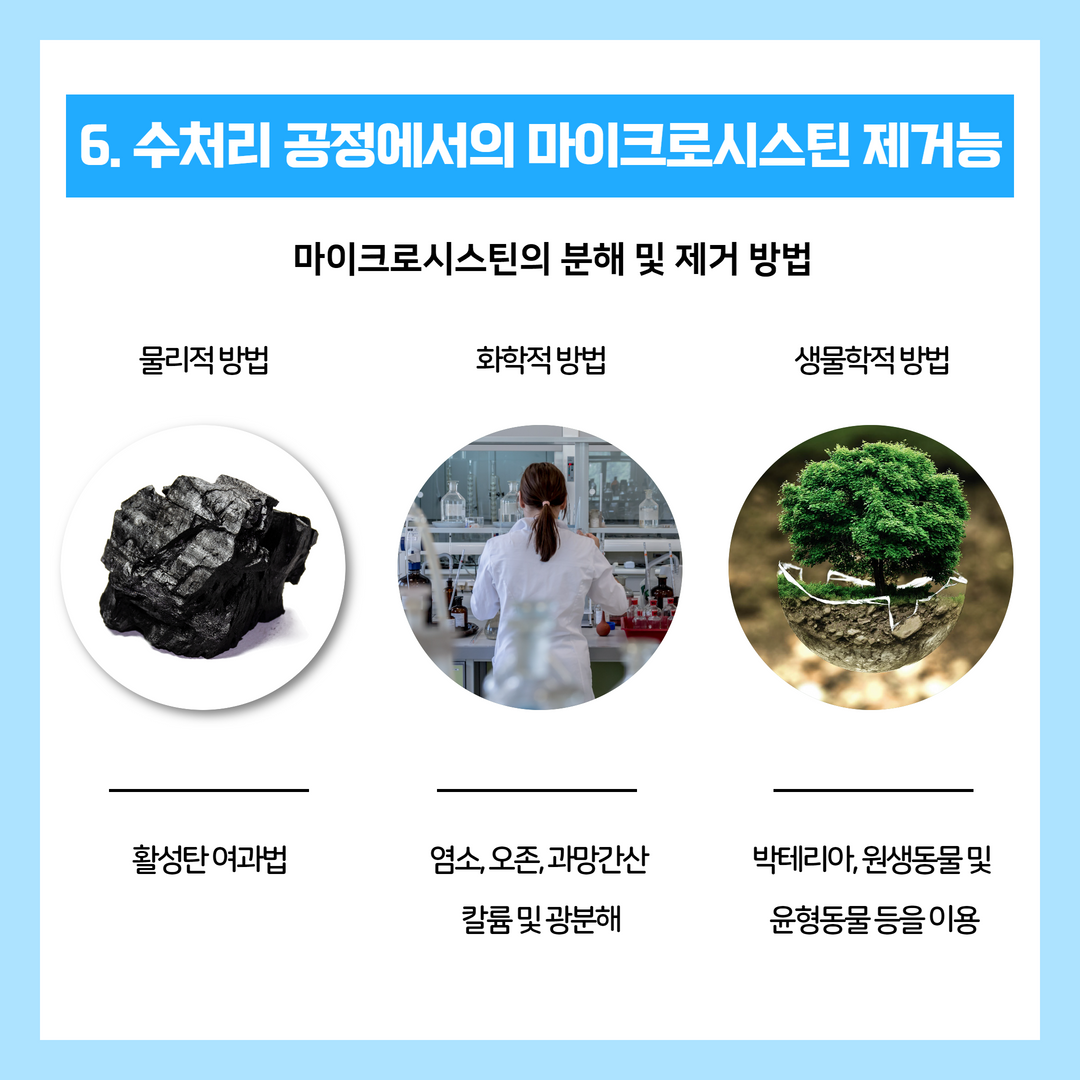 낙동강 녹조, 마이크로시스틴 검출에 대한 팩트체크 7