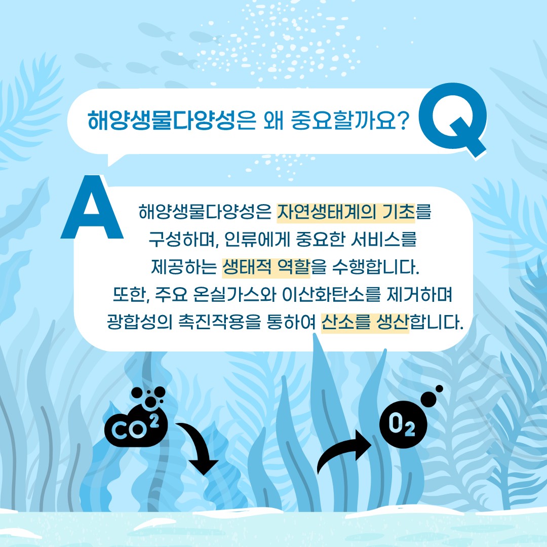 위기에 처한 바다 3